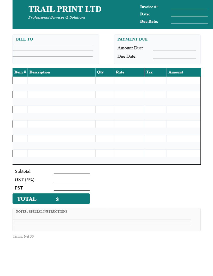 Professional Invoice